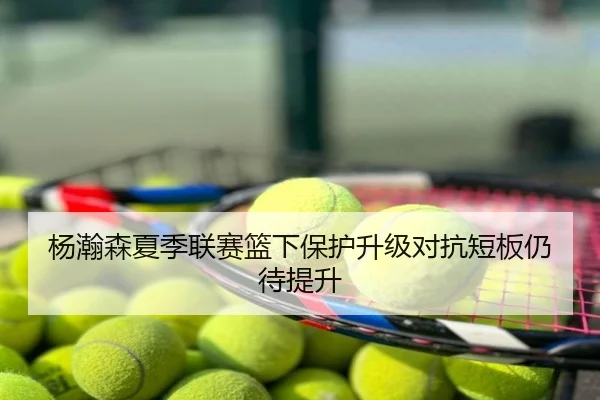杨瀚森夏季联赛篮下保护升级对抗短板仍待提升
