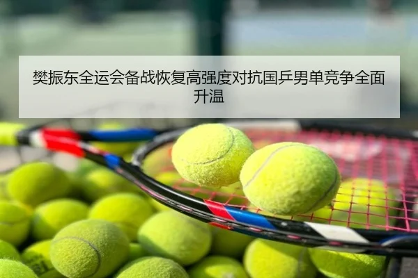 樊振东全运会备战恢复高强度对抗国乒男单竞争全面升温