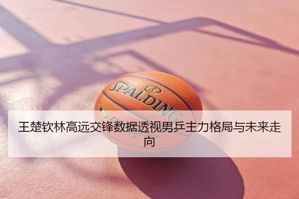 王楚钦林高远交锋数据透视男乒主力格局与未来走向