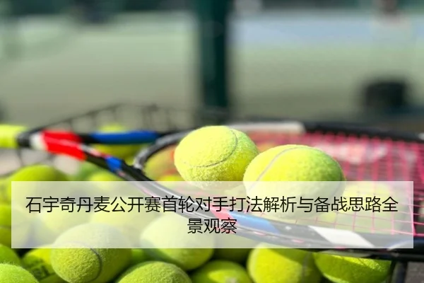 石宇奇丹麦公开赛首轮对手打法解析与备战思路全景观察